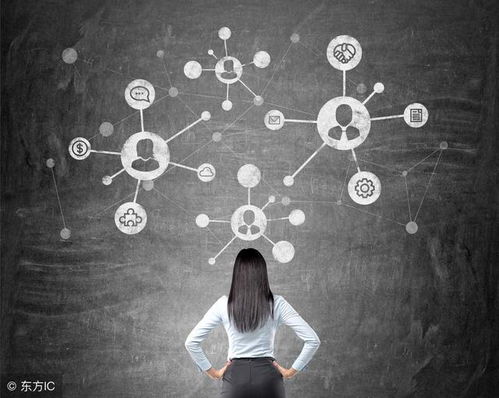 硬件系统集成 构建高效应用的基石